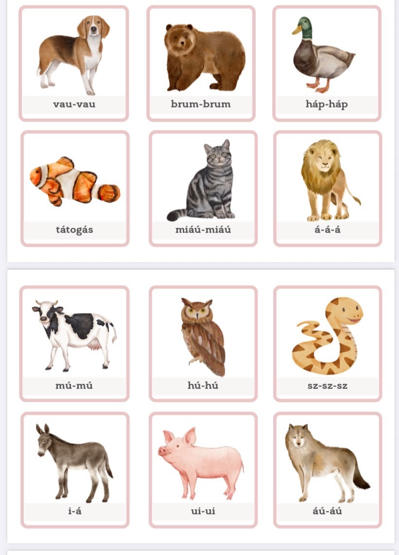 Beszédindító csomag